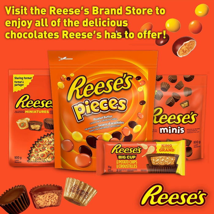 Reese's Chocolate Candy Peanut Butter Cups Minis 400g/14.1oz