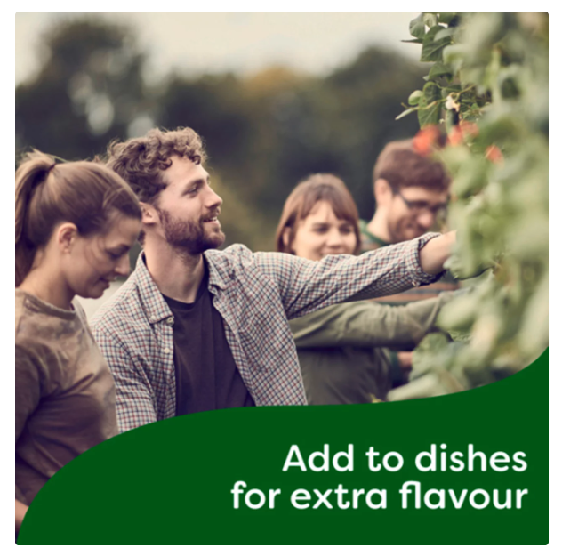 Knorr Concentrated Bouillon Beef Just A Drop Adds Deep Rich Flavor 250ml