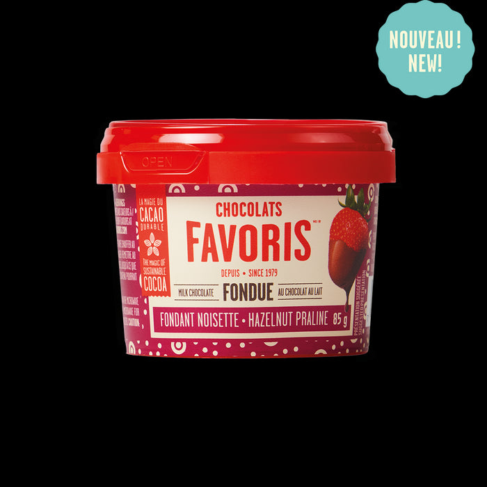 Chocolats Favoris Mini Fondue Hazelnut Praline 85g