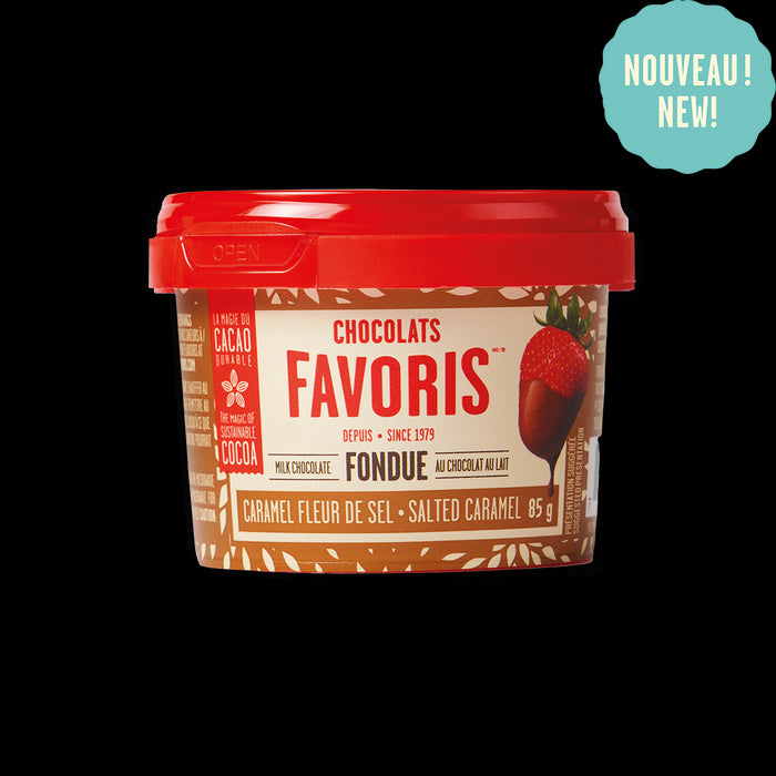 Chocolats Favoris Mini Fondue Salted Caramel 85g