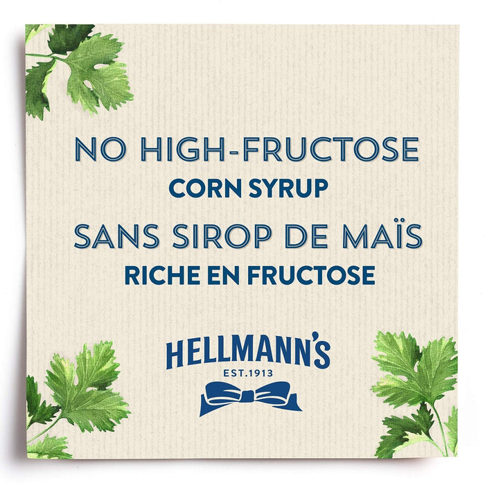 Hellmann's Spicy Chipotle Frites Mayo Sauce, 325ml/11oz