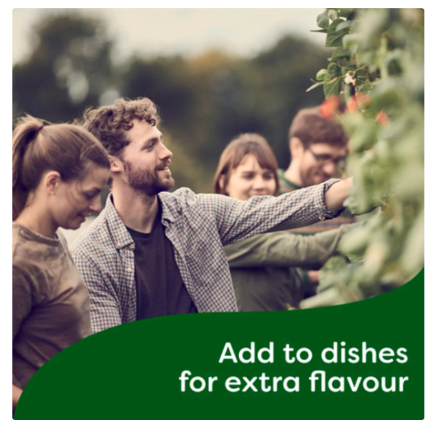 Knorr Concentrated Bouillon Vegetable Just A Drop Adds Deep Rich Flavor 250ml